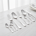 Stainless Steel Cutlery Set